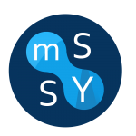 ООО "Мультисервисные системы"